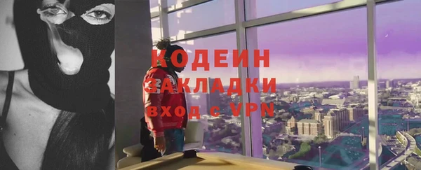 хмурый Аркадак