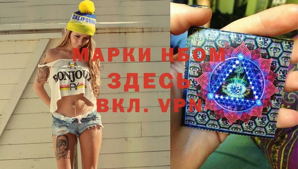 соль ск Туринск