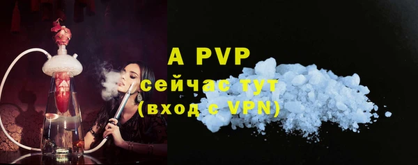 твердый Арсеньев
