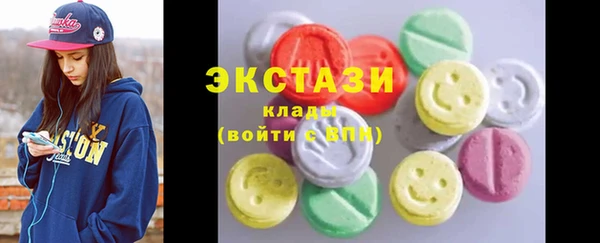 хмурый Аркадак
