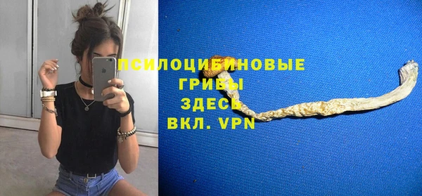 твердый Арсеньев