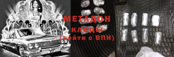 хмурый Аркадак